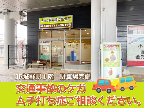 大きな森の鍼灸整骨院 城野駅院