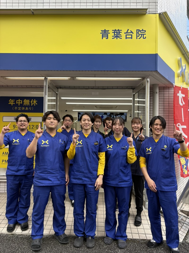 ほねごり接骨院・はりきゅう院 青葉台院