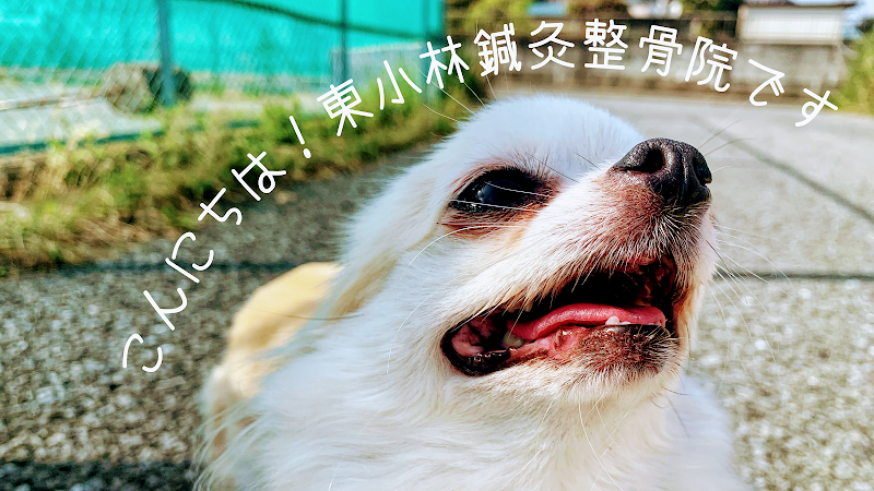 東小林整骨院