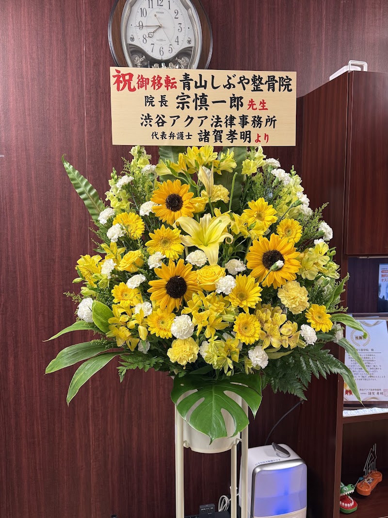 青山しぶや整骨院